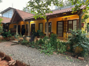 Aroni's Auromitha
